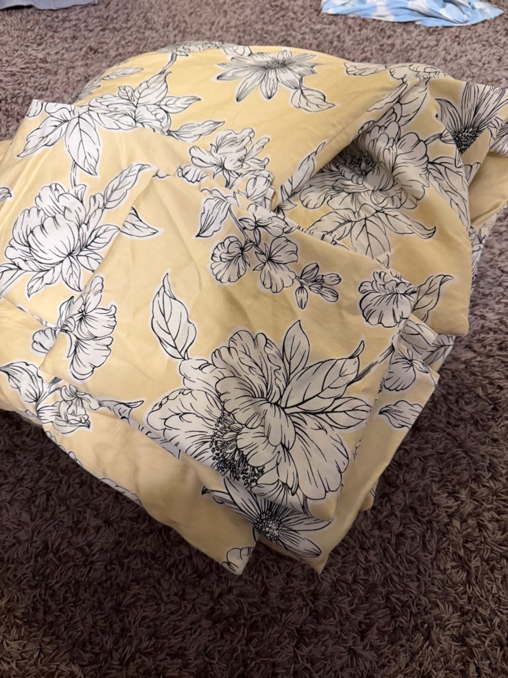 Queen Comforter and 2 Shams